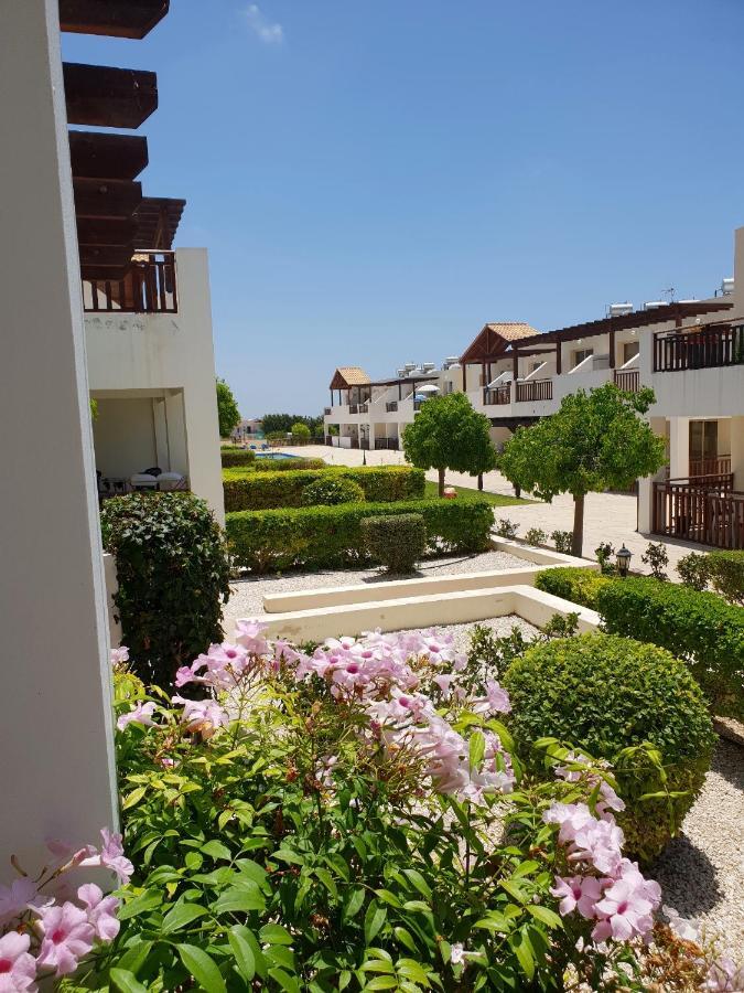 Ground Floor One Bedroom Apartment, Vanessa Complex Peyia Extérieur photo